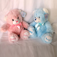 Pink and Blue Teddy Bear