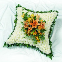 Cushion